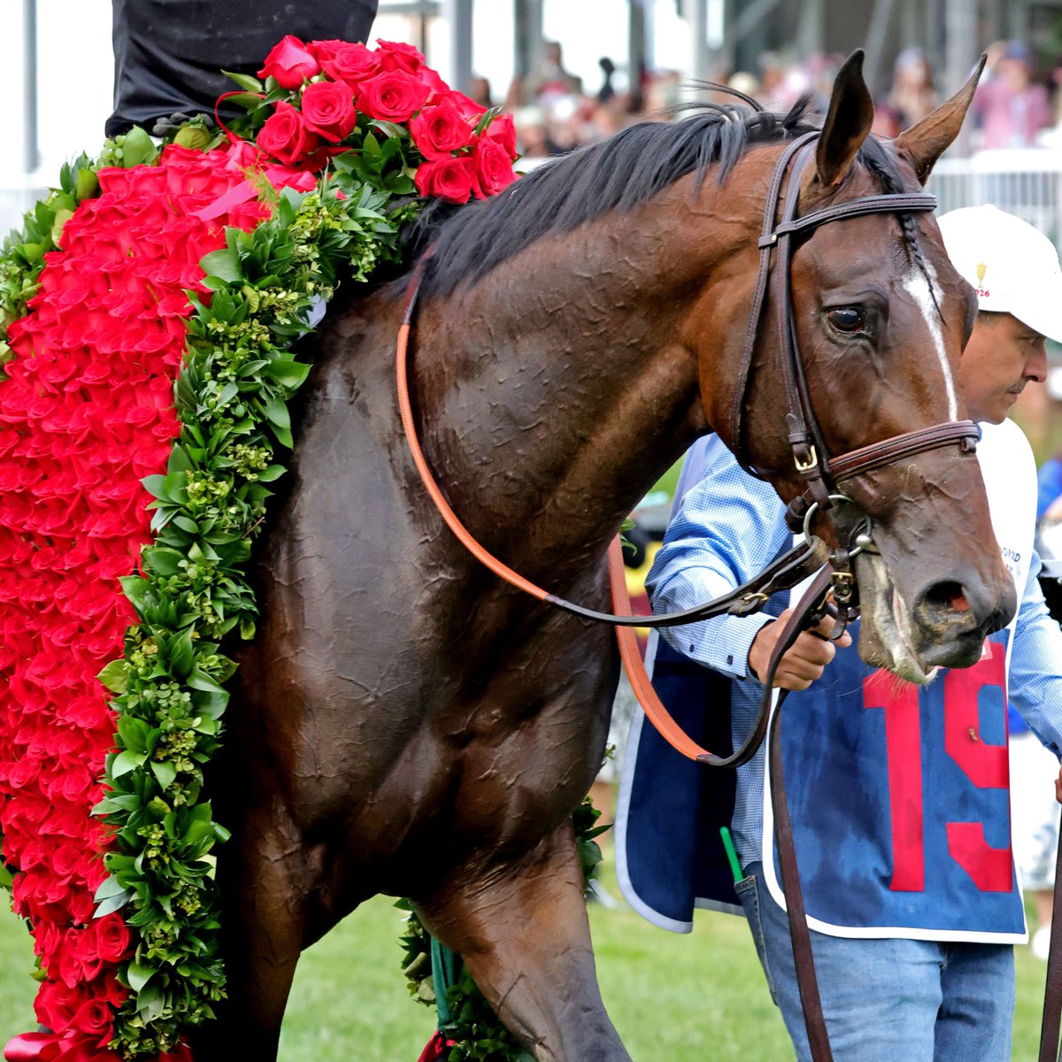 KentuckyDerby's tweet photo. Back in action this weekend 👉 Belmont Stakes. https://t.co/fkjHUTMY3m