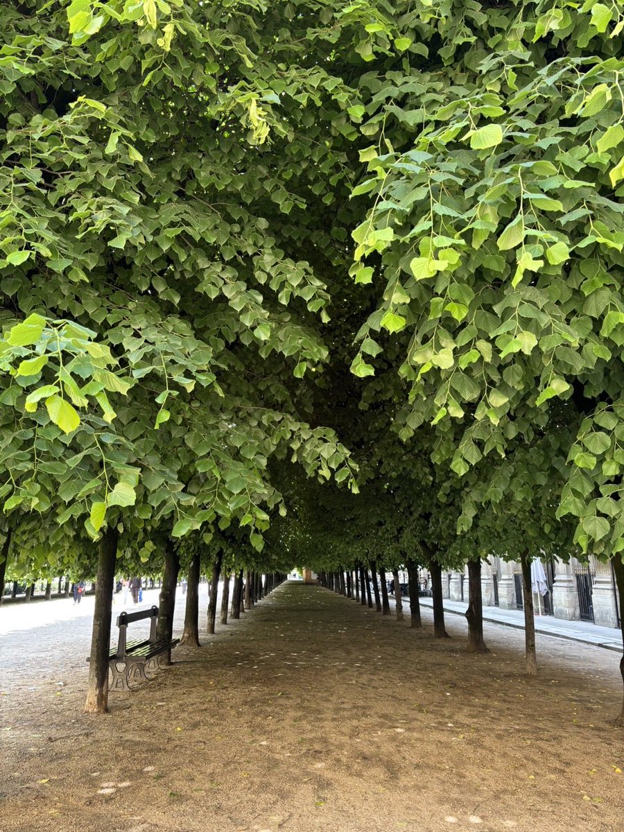 greenworktokyo's tweet photo. １　Ｊｕｉｎ
photo Mami OKUMURA (Paris)
￣￣￣ Ouvert aujourd'hui ￣￣￣￣

本日 11時よりカフェ営業いたします

Opening hours/ Sun.-Tue. 11am-6pm
Last Order/ Food 5pm Drinks 5:30pm

https://t.co/tc6L63wSmP
＿＿＿＿＿＿＿＿＿＿＿＿＿＿＿＿＿
3(水)は、杜のまちやカフェ営業します https://t.co/Tm5pV5qg9i