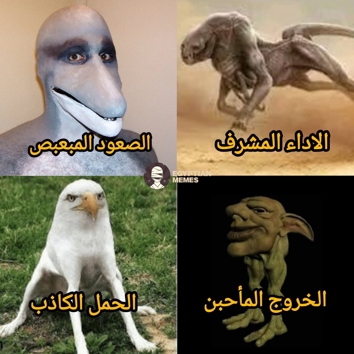 EgyMemes's tweet photo. ميزانية بعثة المنتخب المصري البورسعيدي في كاس العالم ٦٠ مليون جنيه
النتيجة اللي هتحصل هناك: https://t.co/6RKfjuBgjx