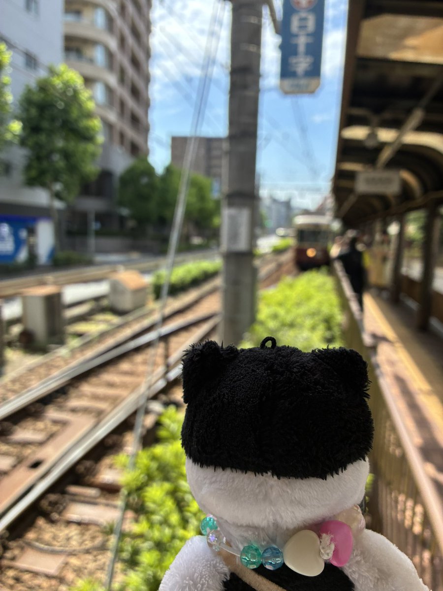 dorarurero's tweet photo. 昨日のまちのわだち9🐈🚃　
周りは日常、電車の中は別世界の空間でのライブ♪めちゃくちゃ楽しくてあっという間だった https://t.co/AZjN6vNaBG