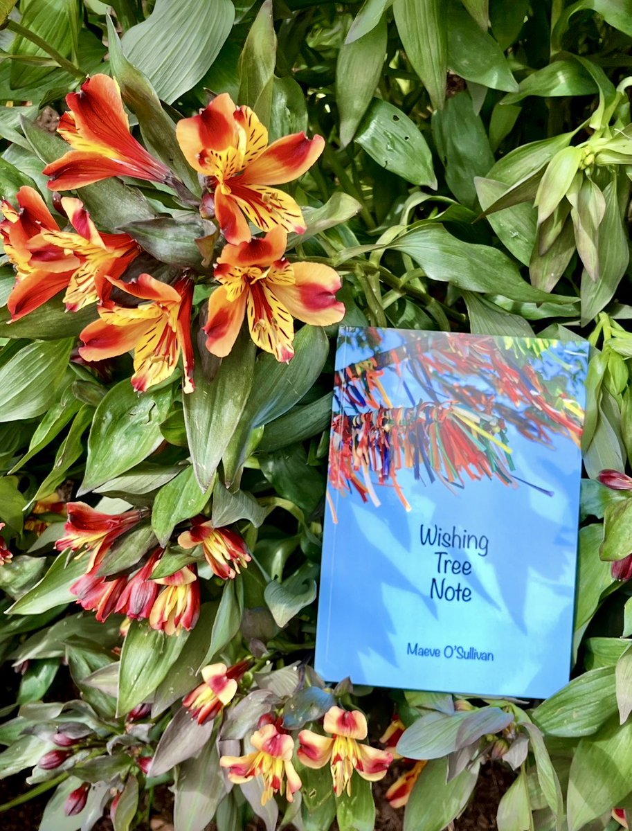 writefromwithin's tweet photo. Only ten more sleeps to go to the launch of my new #haiku collection in #Dublin, ‘Wishing Tree Note’ (Alba). Sure join us if you’re free / bígí linn! 🎉

in this woodland 
of oak, beech &amp; holly -
the sound of summer wind https://t.co/wEAVJw8rTh