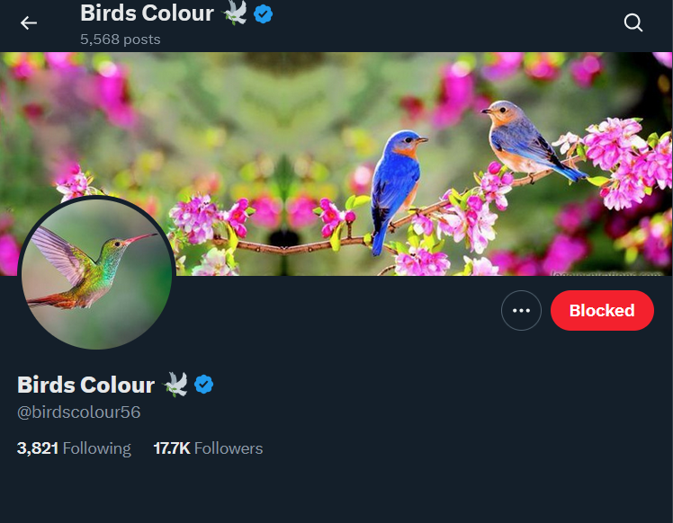 chicken boy 🐓 tweet media