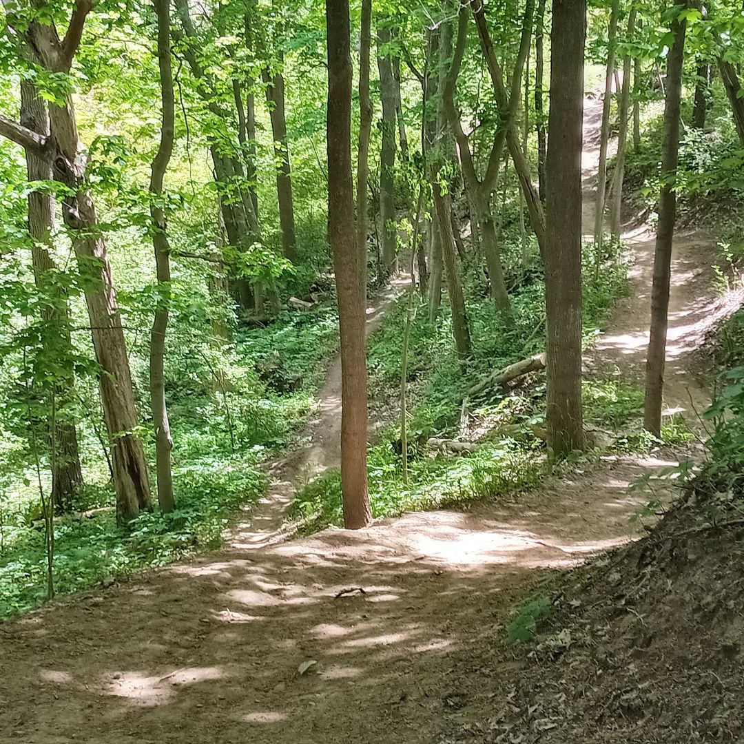 writerinturmoil's tweet photo. In the distance, I saw a deer but thick underbrush obscured the view, and I was unable to take a picture of it. ☹️

#originalphotography #photography #originalphoto #photo #naturephotography #naturephoto #park #river #trees #spring #wisconsin #may2026 https://t.co/RoVIc39nrG