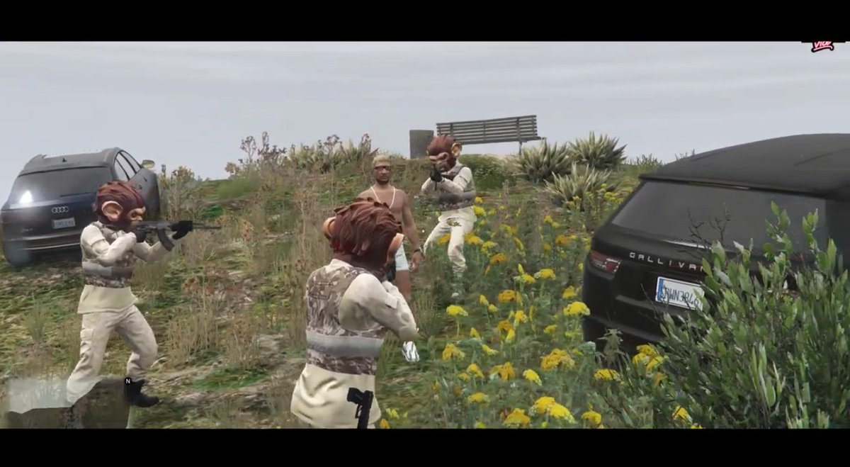 Dandelion tweet media