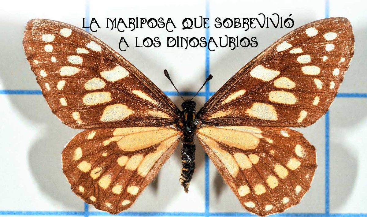 UNAM_MX tweet picture