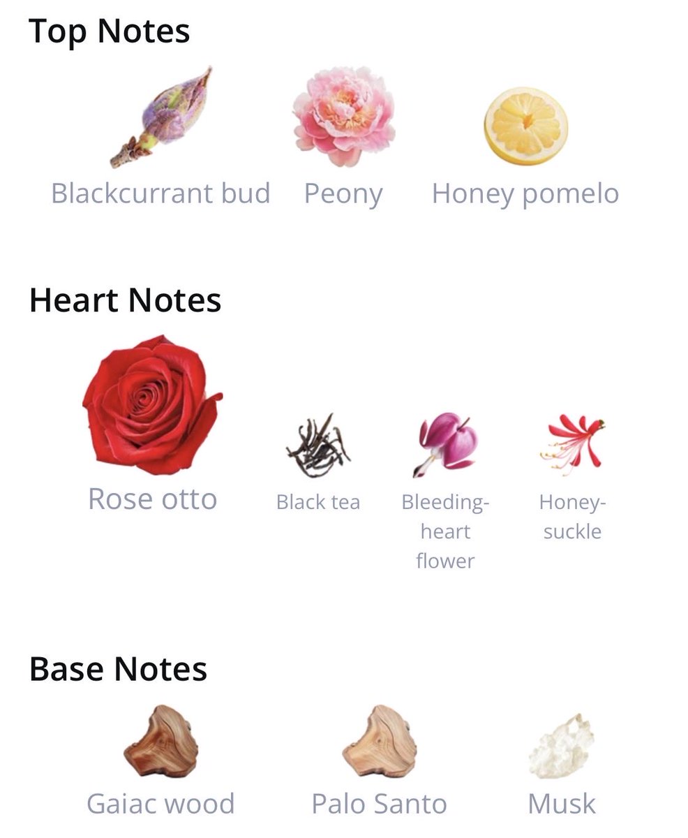 esotericdecay's tweet photo. Little flower is the pinnacle of a romantic fragrance. Sweet and soft just like gently kissing a lover’s cheek. Also reminds me of falling in love for the first time. Desperately missing my bottle on this beautiful spring day. I love to reach for it whenever I go to a wedding… https://t.co/8Myf9YCUIn