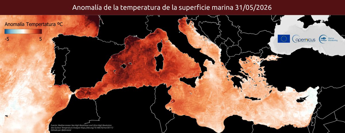 eforestal's tweet photo. 🌡️Anomalías positivas 31/05/2026 en todo el Mediterráneo y aguas circundantes a la península.

(periodo datos 2008–2026)

Datos @CMEMS_EU 
+info y fuente datos: https://t.co/QjXm04Cjgp https://t.co/fnwaiId1Jz
