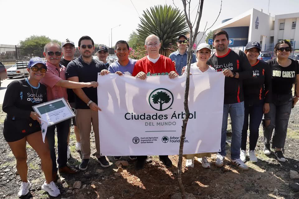 EF_Galindo's tweet photo. 🏅 Por cuarto año consecutivo, obtuvimos el reconocimiento Ciudad Árbol del Mundo que otorgan la @FAOMexico y @arborday, gracias a nuestras políticas públicas permanentes para la protección, conservación y crecimiento del arbolado urbano.

Esta distinción reafirma nuestro compromiso con el cuidado del medio ambiente y el fortalecimiento del patrimonio arbóreo de #SanLuisCapital, para heredar una ciudad más sostenible a las próximas generaciones. 🌳