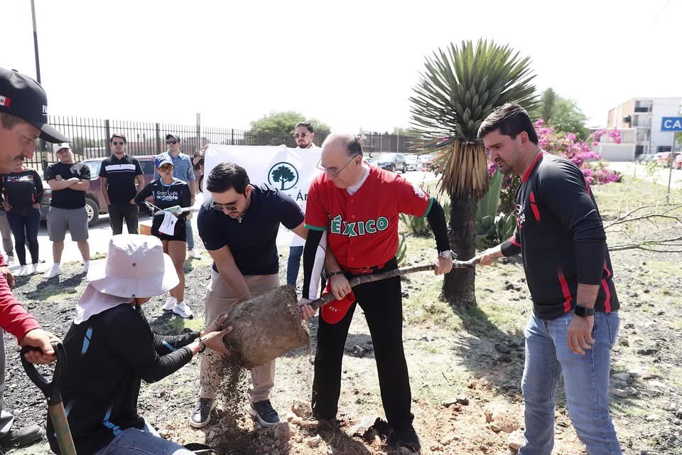 EF_Galindo's tweet photo. 🏅 Por cuarto año consecutivo, obtuvimos el reconocimiento Ciudad Árbol del Mundo que otorgan la @FAOMexico y @arborday, gracias a nuestras políticas públicas permanentes para la protección, conservación y crecimiento del arbolado urbano.

Esta distinción reafirma nuestro compromiso con el cuidado del medio ambiente y el fortalecimiento del patrimonio arbóreo de #SanLuisCapital, para heredar una ciudad más sostenible a las próximas generaciones. 🌳