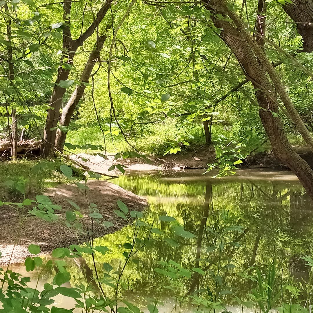writerinturmoil's tweet photo. Towards the end of my hike, I took a new path and wound up on a golf course. Thankfully, a nice man gave me directions back to my car.

#originalphotography #photography #originalphoto #photo #naturephotography #naturephoto #park #river #trees #rocks #spring #wisconsin #may2026 https://t.co/Uxn6xwkssB