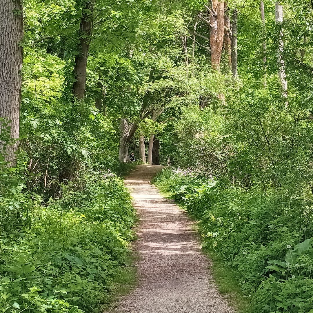 writerinturmoil's tweet photo. Towards the end of my hike, I took a new path and wound up on a golf course. Thankfully, a nice man gave me directions back to my car.

#originalphotography #photography #originalphoto #photo #naturephotography #naturephoto #park #river #trees #rocks #spring #wisconsin #may2026 https://t.co/Uxn6xwkssB