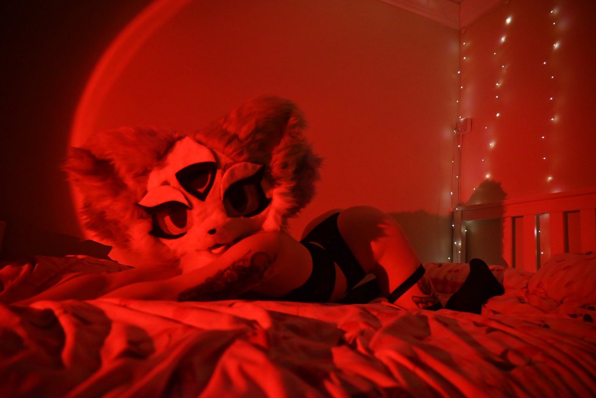 snow_claws's tweet photo. Bet you wish you could see the view from behind~

📸: @Fizzy_Cloudy_AD 

#nsfwtwt #furrynsfw #murrsuiter #yiff #furryyiff #sexyfurrygirl #furryporn https://t.co/Jfbw4SuP8B