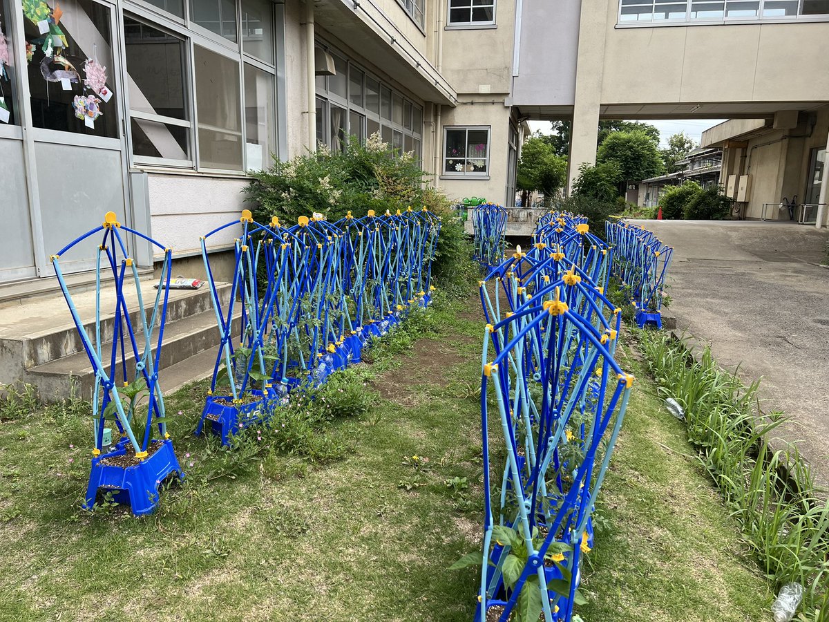 kitaurawa_fc's tweet photo. 🌈今週末は体験会🌈

🌱いろんなたねをまこう🪴
☀️育てよう🌨️
⚾️野球も一緒⚾️

6/6（土）9:00〜11:00
北浦和小校庭

#少年野球 #浦和フレンドクラブ #体験会 #埼玉西武ライオンズ 
#北浦和小 #木崎小 #大門小 #道祖土小 
お問合せurawafc26@gmail.com https://t.co/ZLYh8aA7kK
