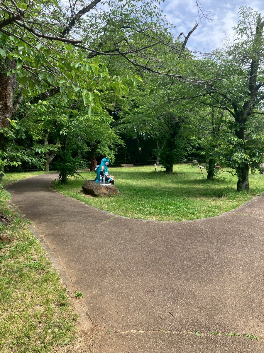Hashire_Miku's tweet photo. 2026年5月31日
奥武蔵ロングトレイルショート35k
ネット4:58
順位15位？
写真は走ったあとになります。
頭にinsta360_X5を着けて走り全コースノーカットの動画を撮ろうとしたのですが、カメラの高温で1時間程しか撮れておりませんでした😭
#奥武蔵ロングトレイル35k 
#初音ミクコスプレ 
#トレイルラン https://t.co/CtrTcJC8rt