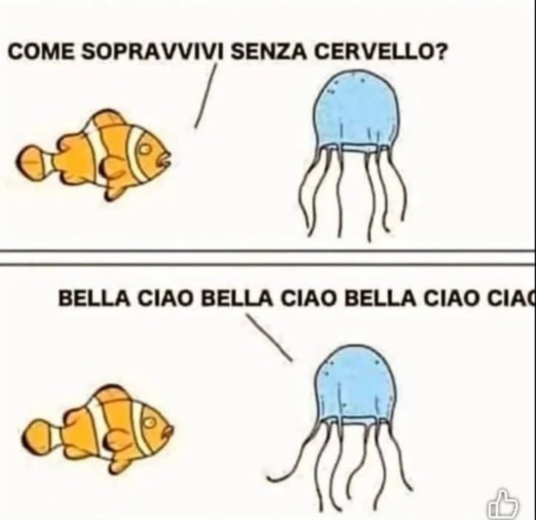 Claudio tweet media