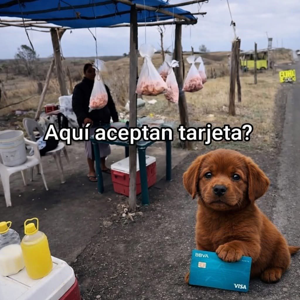 Javisness's tweet photo. Yo en cualquier lado https://t.co/B9d04nxg57