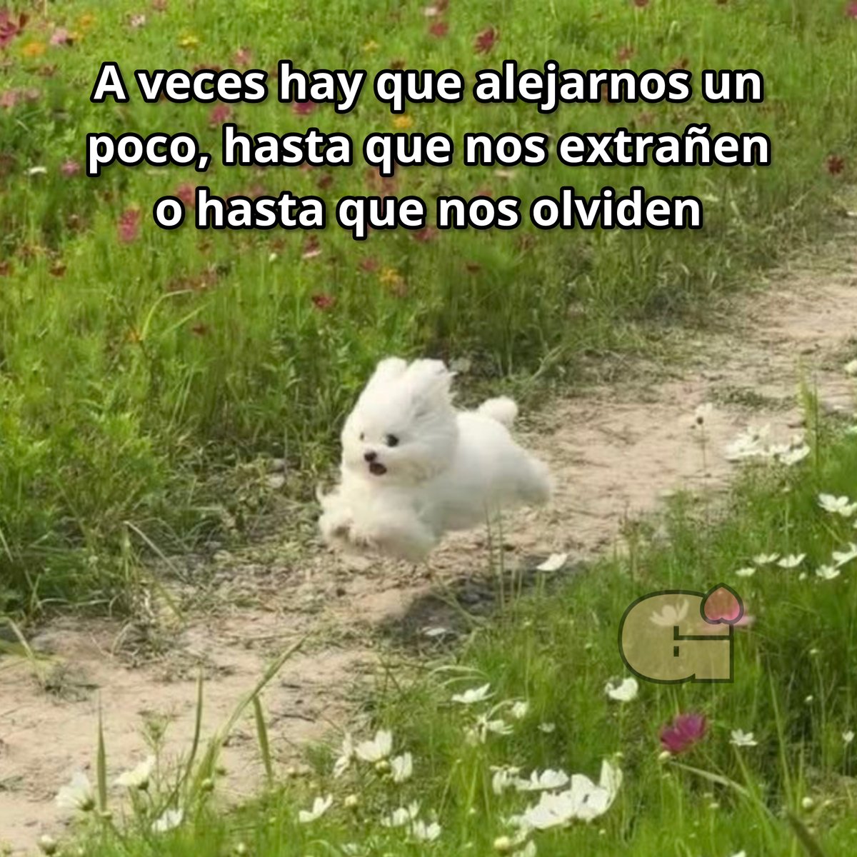 Guarromantico_'s tweet photo. A veces. https://t.co/4cwtbvw0yX
