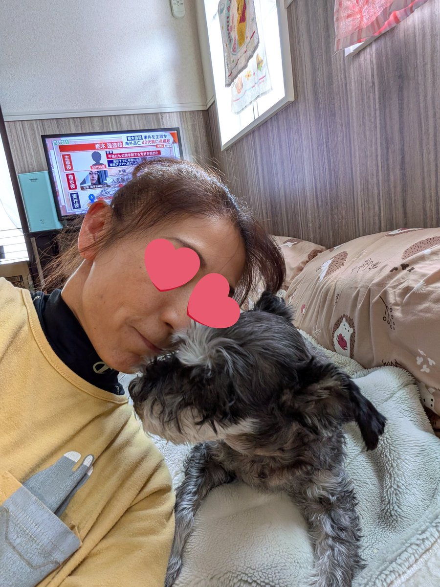 おっはﾜﾝ🐶🩷ﾆｬﾝ🐱🩷 ﾎﾟﾂｷｰともずく🩷との 癒しﾀｲﾑ~🤗🩷 🐶みﾆｬ様
