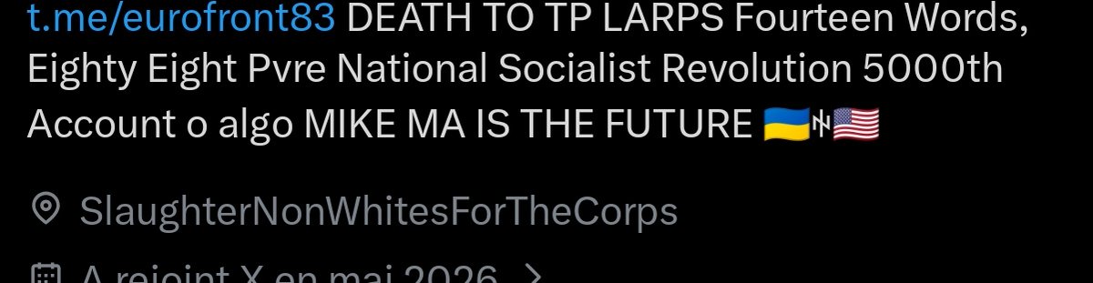 UkrAF Mirage Strafe Bombing Regi Hairy Butthole tweet media