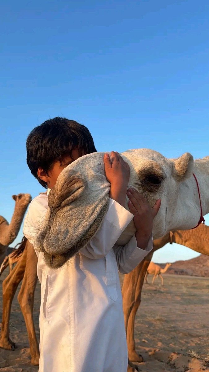 aseelswaid9's tweet photo. Children and Camels https://t.co/GlGND3IdqT
