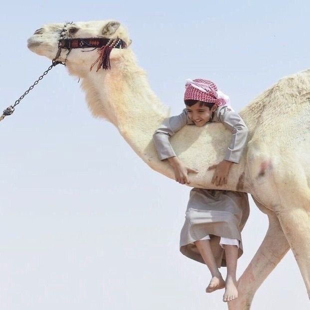aseelswaid9's tweet photo. Children and Camels https://t.co/GlGND3IdqT