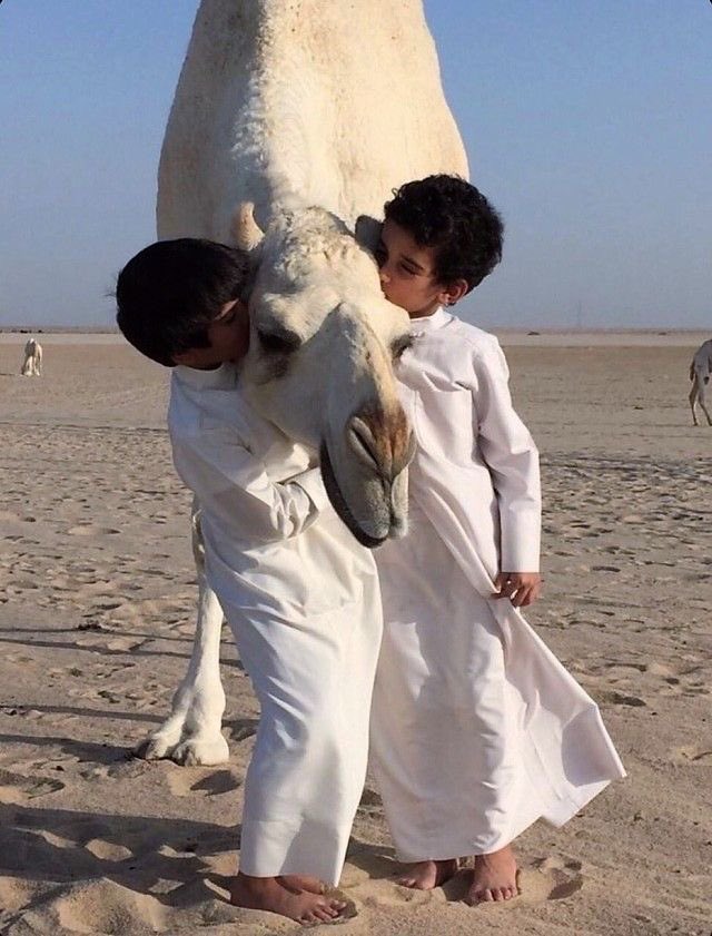 aseelswaid9's tweet photo. Children and Camels https://t.co/GlGND3IdqT