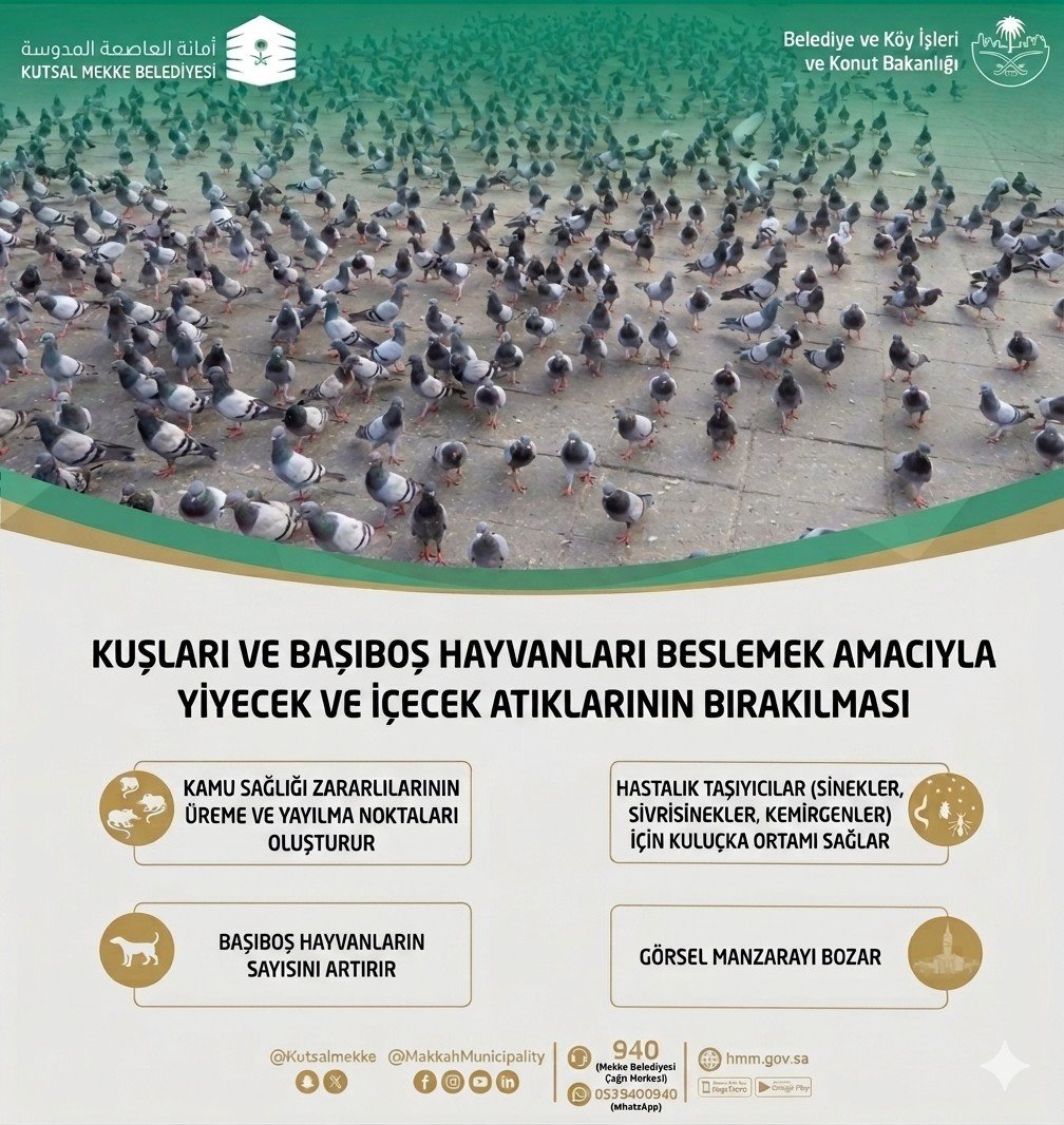 sedaunlem's tweet photo. Suudi Arabistan'da başıboş hayvanları beslemek yasak.

Allah dilsiz kullarını sadece Türkiye ve Hindistan'a emanet etmiş. https://t.co/5kXBc6xYfg