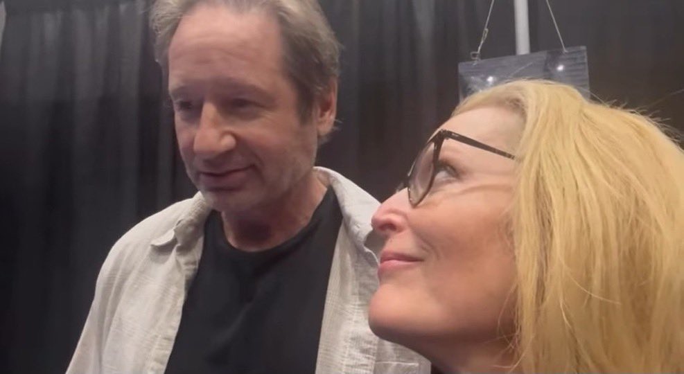 milkywaymolder's tweet photo. now now sweetie, mommy is watching gillian anderson yearn over david duflopny (again) https://t.co/EEN7Hc99NP