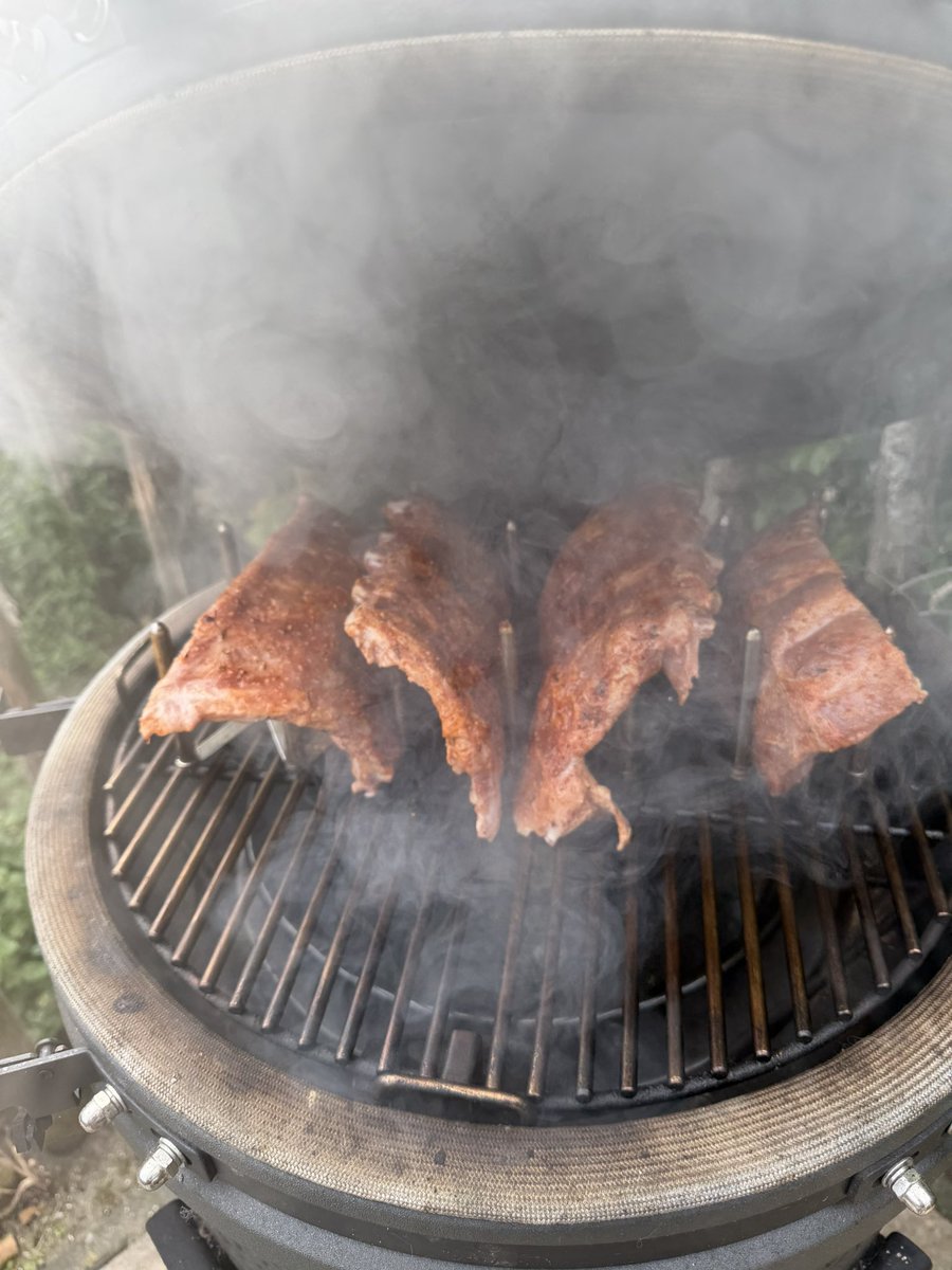 EddeHeus's tweet photo. #WhatIsOnTheBBQ #spareribs https://t.co/xUIb1NgWmM