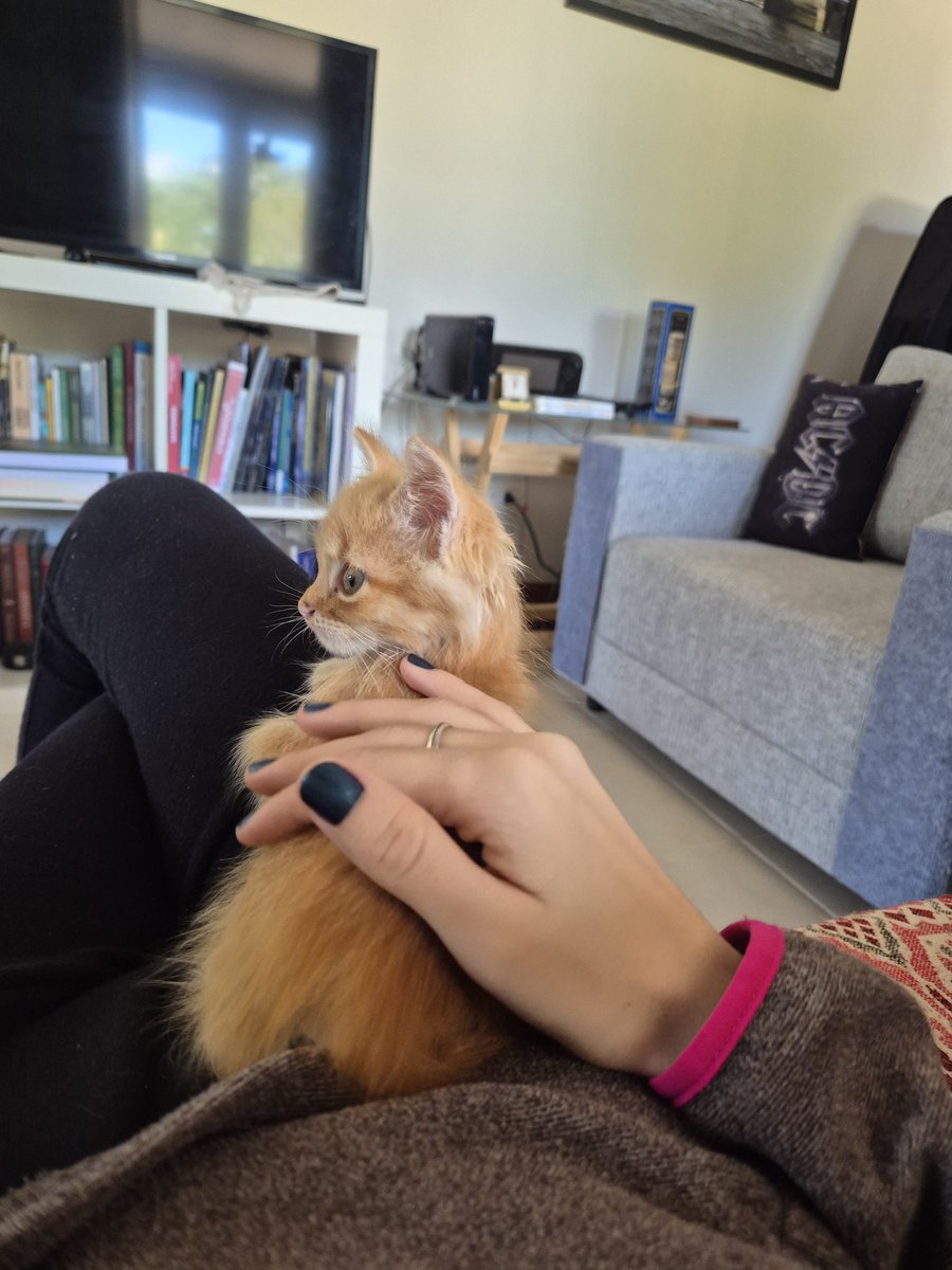 nuatmidnight's tweet photo. tudo que eu queria era estar com o neném 😭 https://t.co/pXZUuAuErh