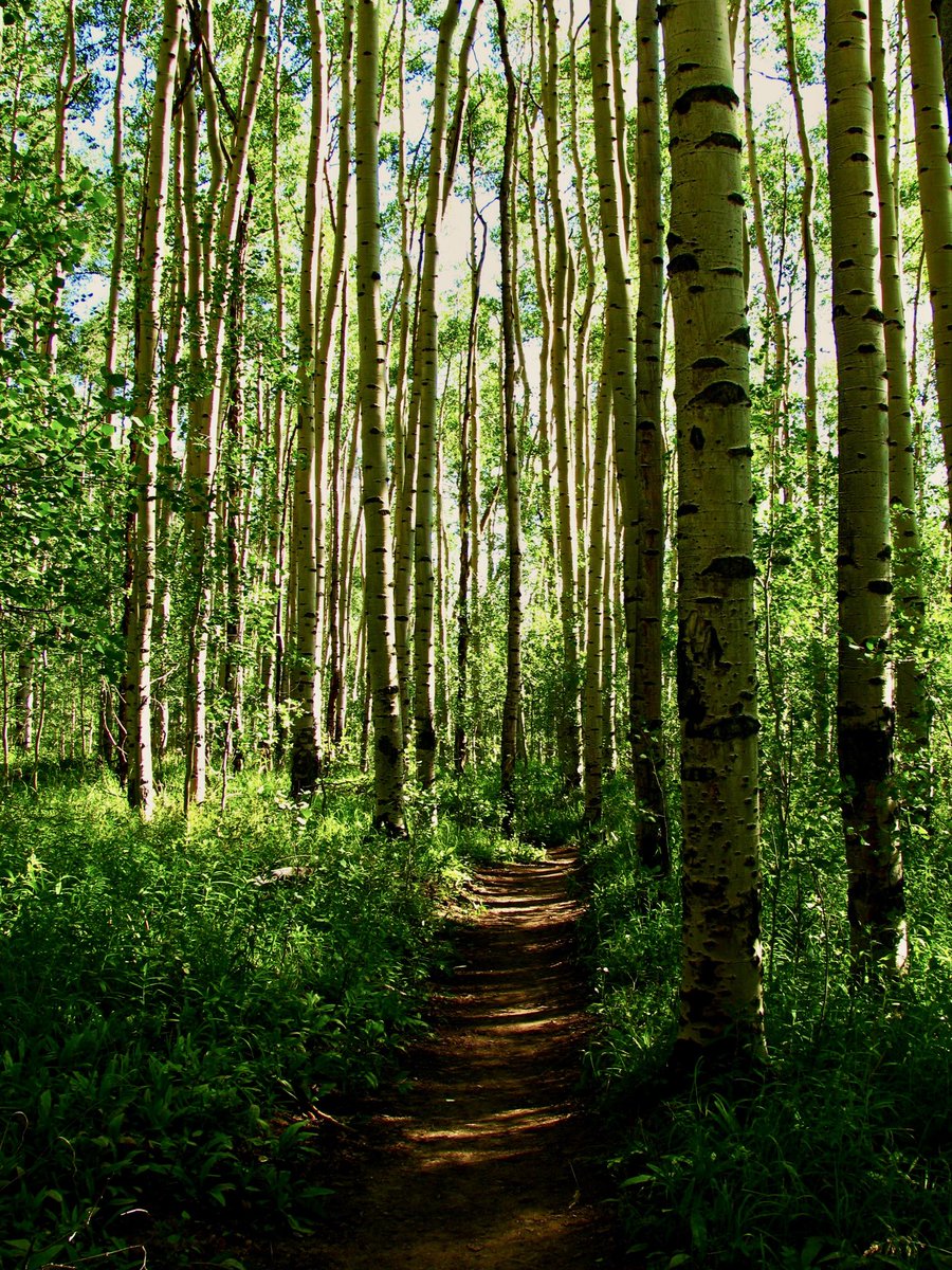 fre3m0's tweet photo. Rocky Mountain National Park, USA https://t.co/SQObItjYiS