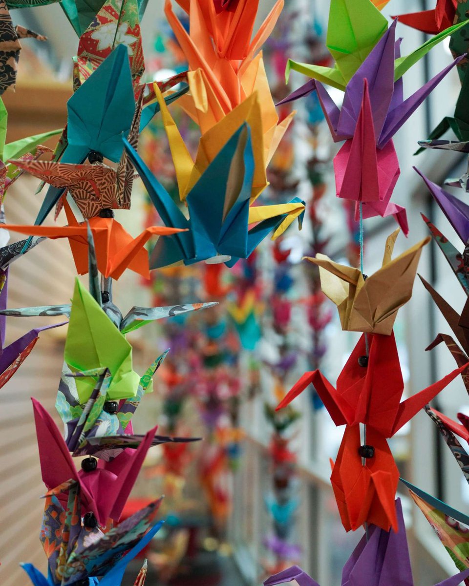 MetroLibraryOK's tweet photo. As Asian Pacific American Heritage month comes to a close, we're celebrating the incredible creativity of our community. Thank you for helping bring this stunning 1,000-plus paper crane display to life at the Edmond Library! 💛 https://t.co/G9FqwkJJDp