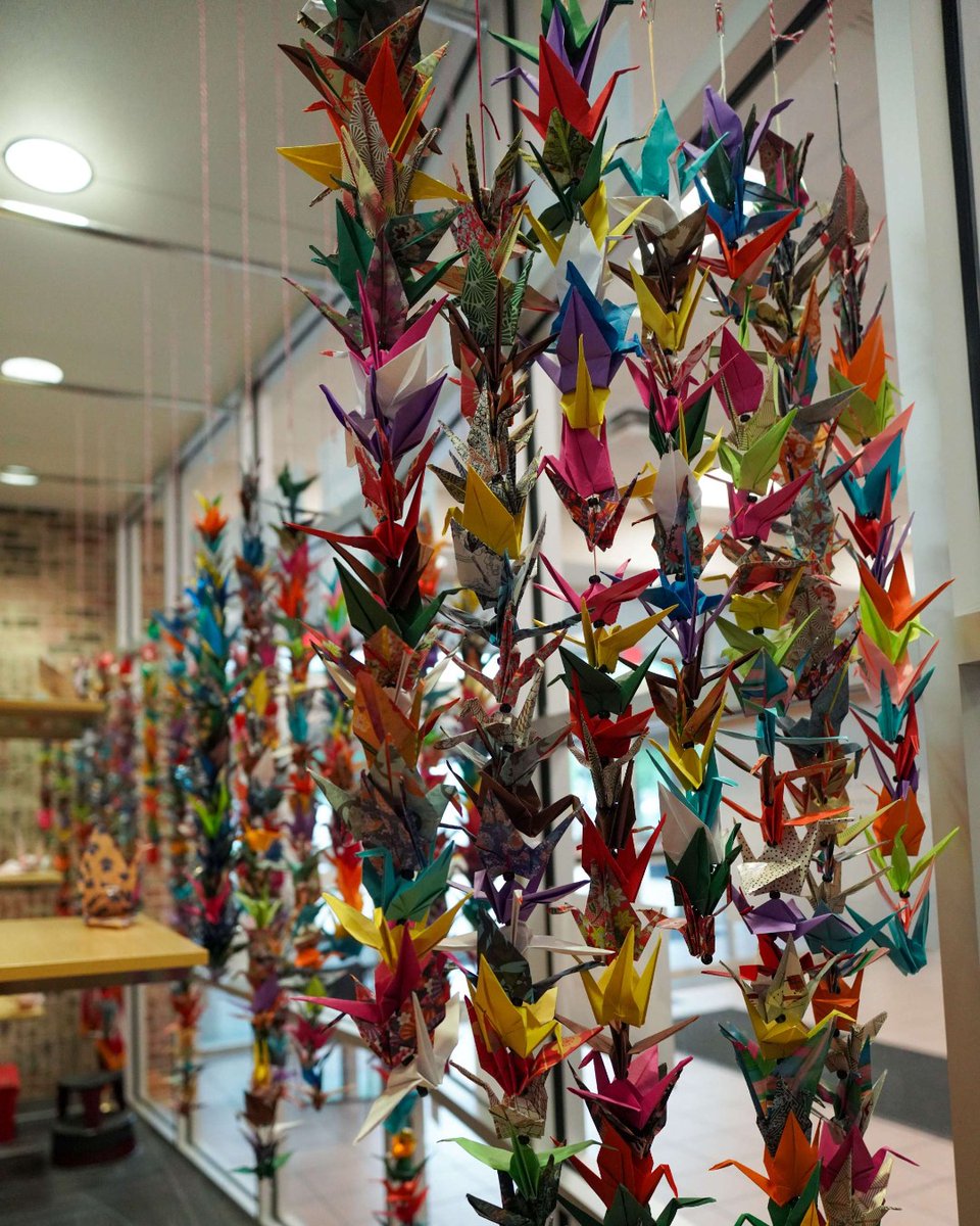 MetroLibraryOK's tweet photo. As Asian Pacific American Heritage month comes to a close, we're celebrating the incredible creativity of our community. Thank you for helping bring this stunning 1,000-plus paper crane display to life at the Edmond Library! 💛 https://t.co/G9FqwkJJDp