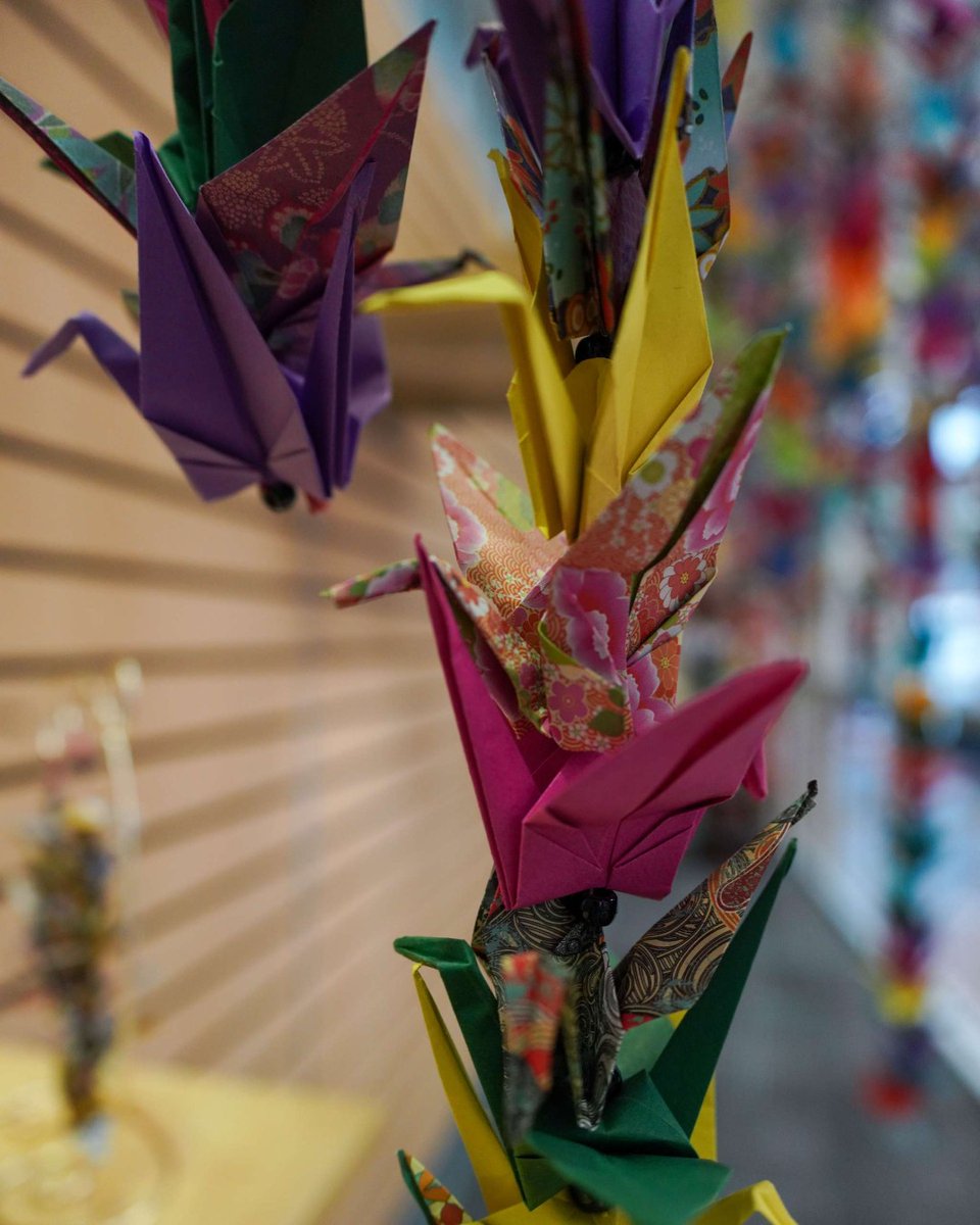 MetroLibraryOK's tweet photo. As Asian Pacific American Heritage month comes to a close, we're celebrating the incredible creativity of our community. Thank you for helping bring this stunning 1,000-plus paper crane display to life at the Edmond Library! 💛 https://t.co/G9FqwkJJDp