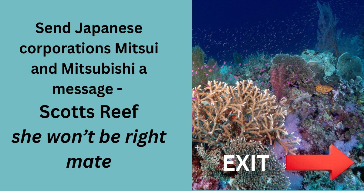 knitnannasSYD's tweet photo. Something different this week: giving Japanese corporations some friendly advice. https://t.co/IK9h4JtZy6 https://t.co/lfUK9ePND3