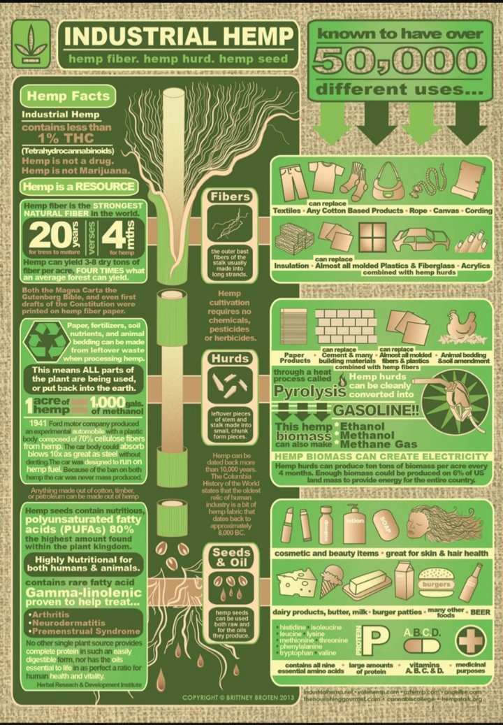 mew_pepe64678's tweet photo. @holonabove Hemp. They crushed it because it's better and more efficient https://t.co/P1E9q7yBS9