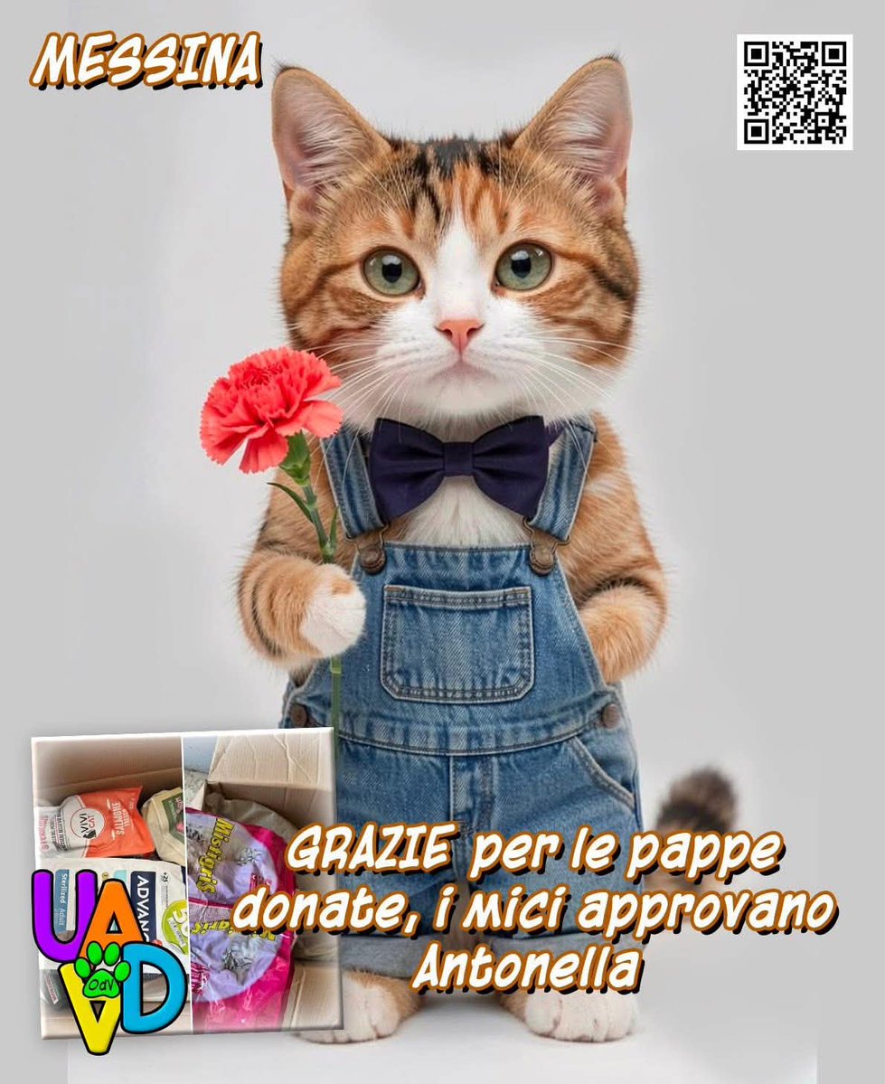 unonlus's tweet photo. Da Messina scrive Antoella Branda: "Pappa arrivata π» grazie ππΌ
Anna Maria Nizzola Masi Pasquale grazie ππΌβ₯οΈ
Per #DIFFONDERE ed #AIUTARCI, clicca su questo link: https://t.co/CrpgShBBkL https://t.co/KOcT9r29nt