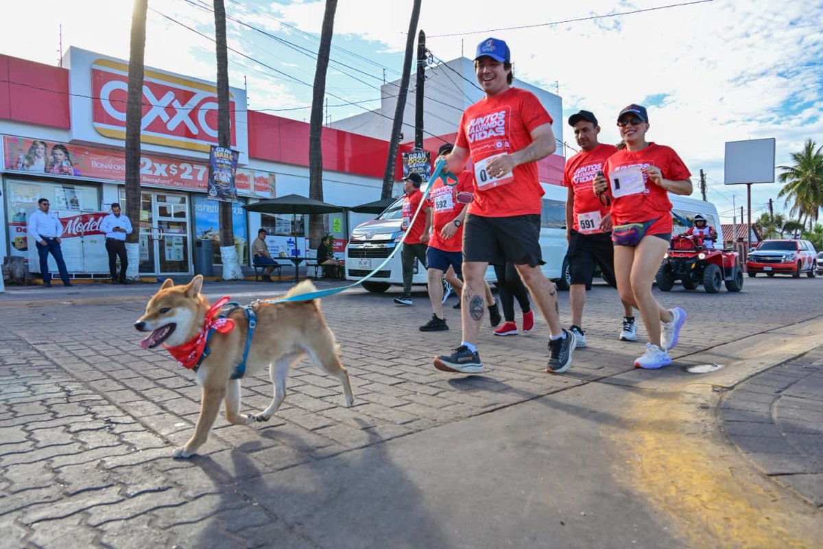 sspsinaloa1's tweet photo. La #SSPSinaloa a través de la Dirección de Programas Preventivos y la Policía Estatal participó en la carrera “Juntos Salvando Vidas”, en #Altata 🌊, repartiendo volantes informativos 📃 y con acciones de proximidad social. 👮‍♀️🤝🧑‍🧑‍🧒

Nos mantenemos cercanos a la ciudadanía para brindar el mejor servicio. 📱Usa el 9-1-1 en caso de emergencias y el 089 para denuncia anónima.