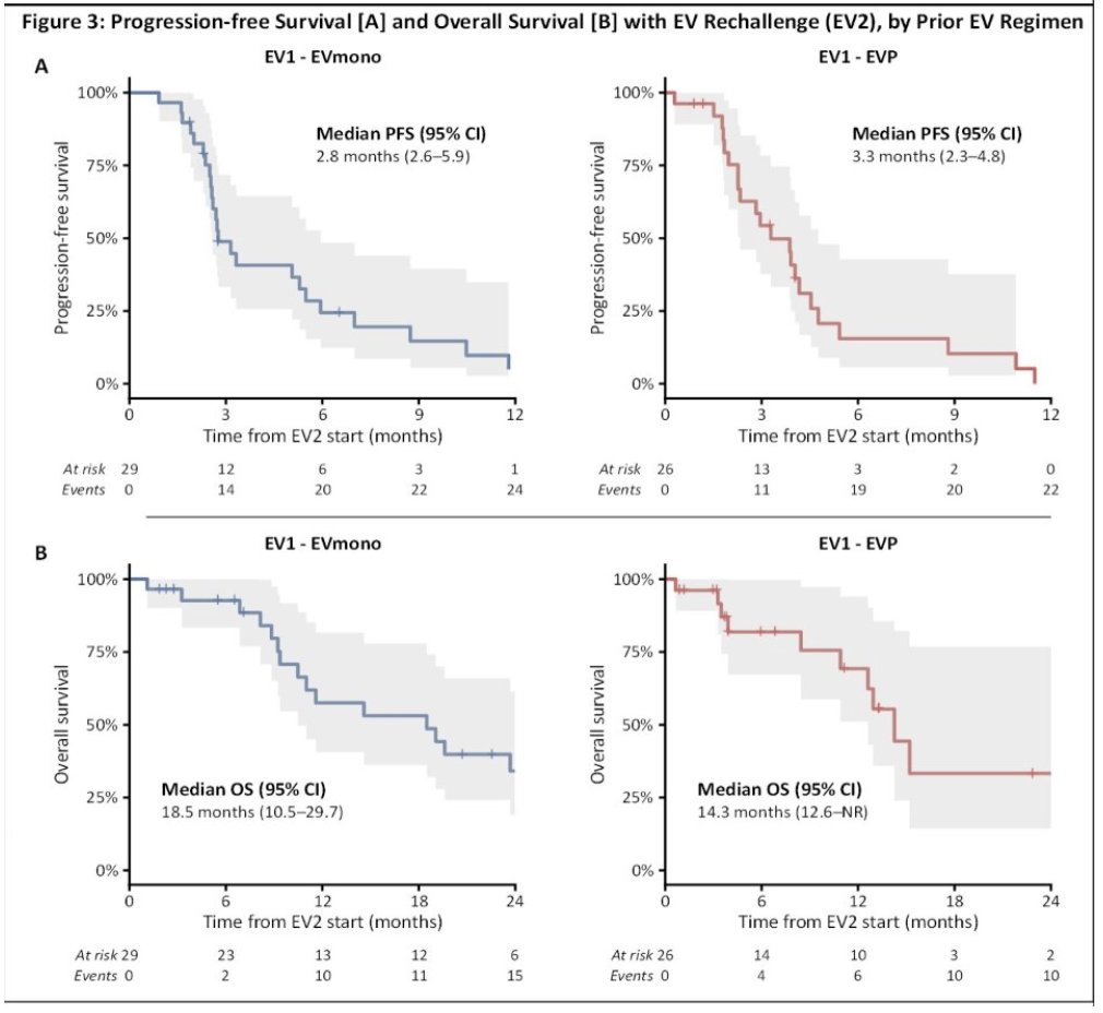 urotoday's tweet photo. Outcomes with enfortumab vedotin rechallenge after disease progression in metastatic #UrothelialCarcinoma. Presentation by @MichalSternsch @MSKCancerCenter. #ASCO26 written coverage by @RKSayyid @UAUrology > https://t.co/e5JeF4ckvS @ASCO https://t.co/8I3eJKZVIu