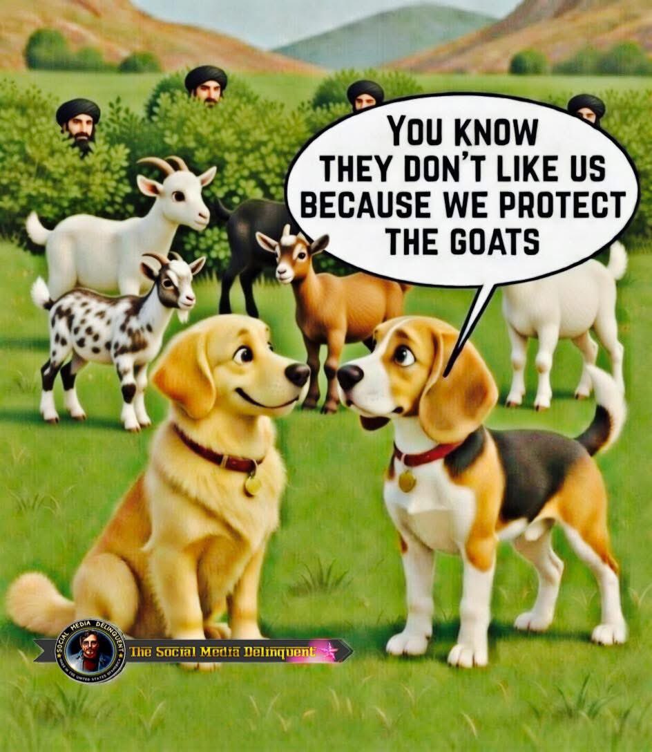 DunningRandall's tweet photo. @honeymoon250 Assimilate or go home Mohammed. Sharia law is nonbinding on me. I ignore it except when it gets in my face than I revolt against that doctrine of demons. https://t.co/OtIgwV0V2k