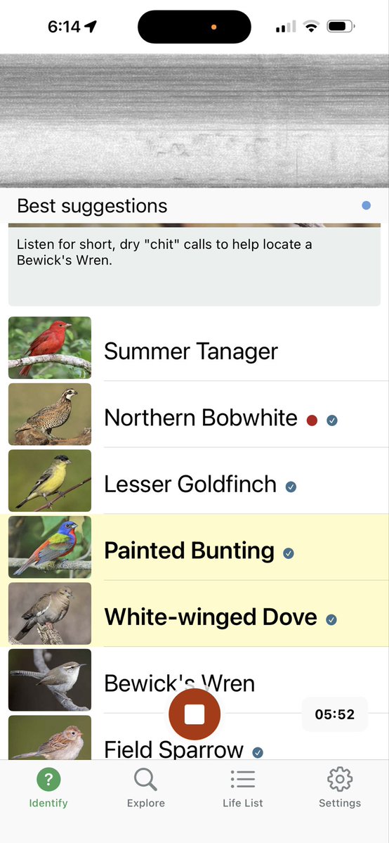 TechieTex's tweet photo. Touch grass and listen to the birbs today! 👂🐦 ☀️ https://t.co/5bla6awOYh