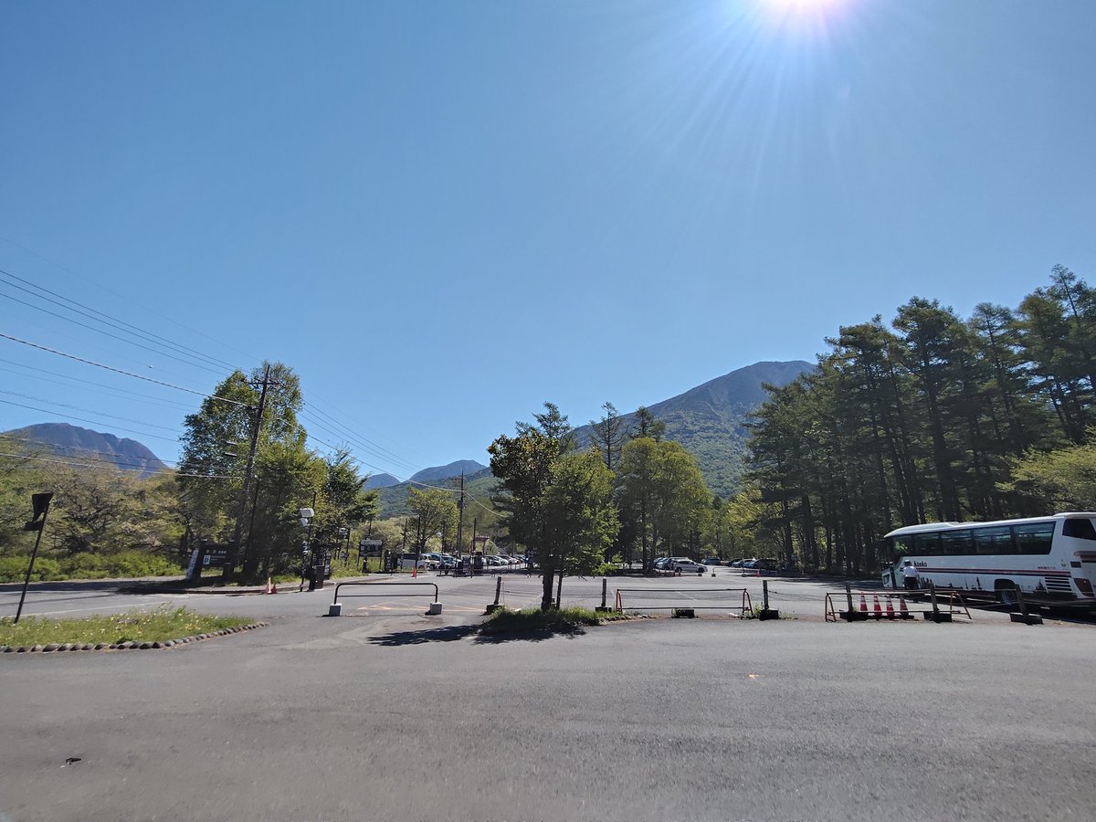 nikkonsm's tweet photo. 6月1日（月）午前9:15現在、赤沼周辺は快晴で気温は18℃まで上がっており、かなり暑く感じます。戦場ヶ原のズミ、千手ヶ浜のクリンソウは、いずれも見頃を迎えてきています。熱中症に十分ご注意いただきながらお楽しみください。 https://t.co/pKcy6Dc5ES
