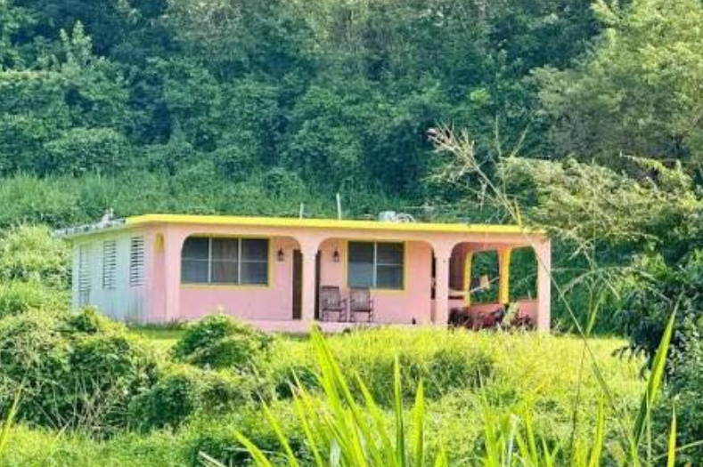 Juangayasalom's tweet photo. A la izquierda tenemos la casa de Román Carrasco, una humilde vivienda ubicada en el Barrio Río Abajo en Humacao donde se grabó el cortometraje “Debí Tirar Más Fotos” y que se ha convertido en el decorado habitual de los conciertos de Bad Bunny (foto a la derecha). 

La foto de la izquierda representa valores férreos, humildad, lucha y tradiciones puertoriqueñas. La imagen de la derecha representa clasismo, postureo, infamia, obscenidad y vergüenza. 

Por cierto, el dueño de la casa original presentó una demanda contra el artista y sus productores alegando enriquecimiento injusto. La acción civil, radicada ante el Tribunal de San Juan, reclama $1 millón por daños y angustias, y $5 millones adicionales por el uso de la propiedad y enriquecimiento ilícito.

Benito hueles a esmegma y a sobaco