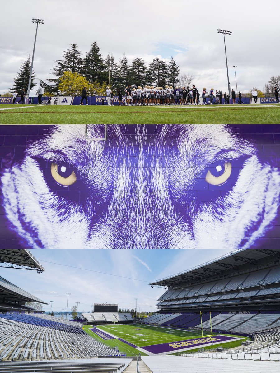 UW_Football's tweet photo. Frames from Dawg Days Episode 1 🖼️
Watch it tomorrow at 5:00pm PT on Youtube. @AlaskaAir 

👉 https://t.co/GtO9GxFLoC https://t.co/YksRmQg4IP