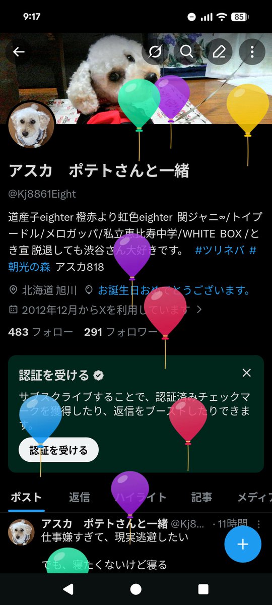 Kj8861Eight's tweet photo. 初めてちゃんと風船出るの見た('▽') https://t.co/GUEugzleei