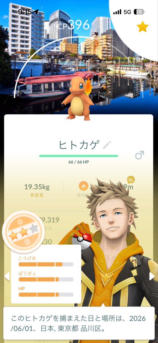 ちらし tweet media