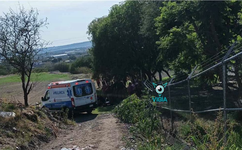 VigiaDigitalQro's tweet photo. #VigíaUrbano👁️🚨🚔| Hacía carreras con su amigo en el carril que esta en la milpa de los Alegría; se desbocó el equino que montaba 
Los detalles 👉🏻 https://t.co/DnuUZbpAaD https://t.co/zTq2U9cCan