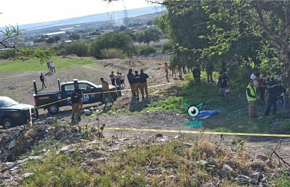 VigiaDigitalQro's tweet photo. #VigíaUrbano👁️🚨🚔| Hacía carreras con su amigo en el carril que esta en la milpa de los Alegría; se desbocó el equino que montaba 
Los detalles 👉🏻 https://t.co/DnuUZbpAaD https://t.co/zTq2U9cCan