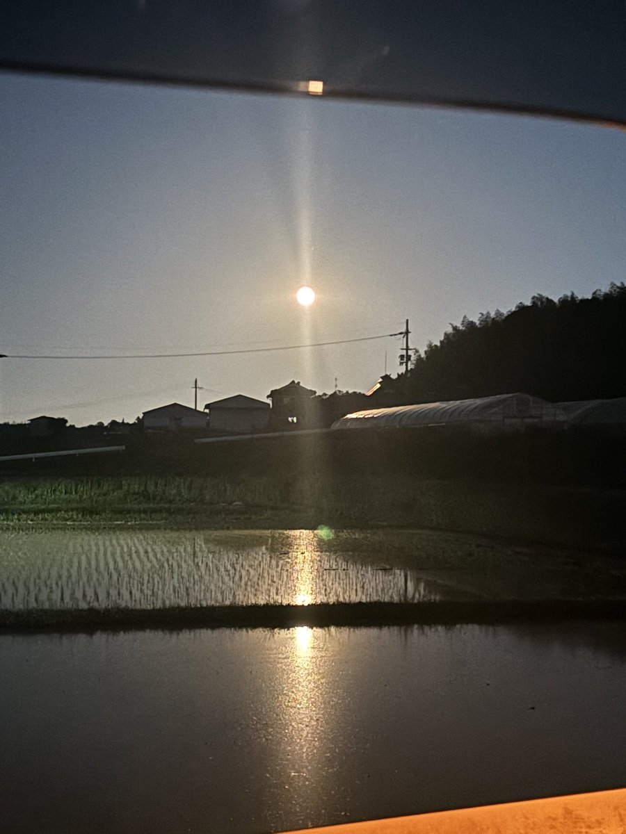 nosuke_goodgood's tweet photo. @MotokiOhmoriMGA ナイトモードで撮ったからオレンジみ強いけど
近所の田んぼに反射して綺麗だった🌙 https://t.co/ch0MrYurNR