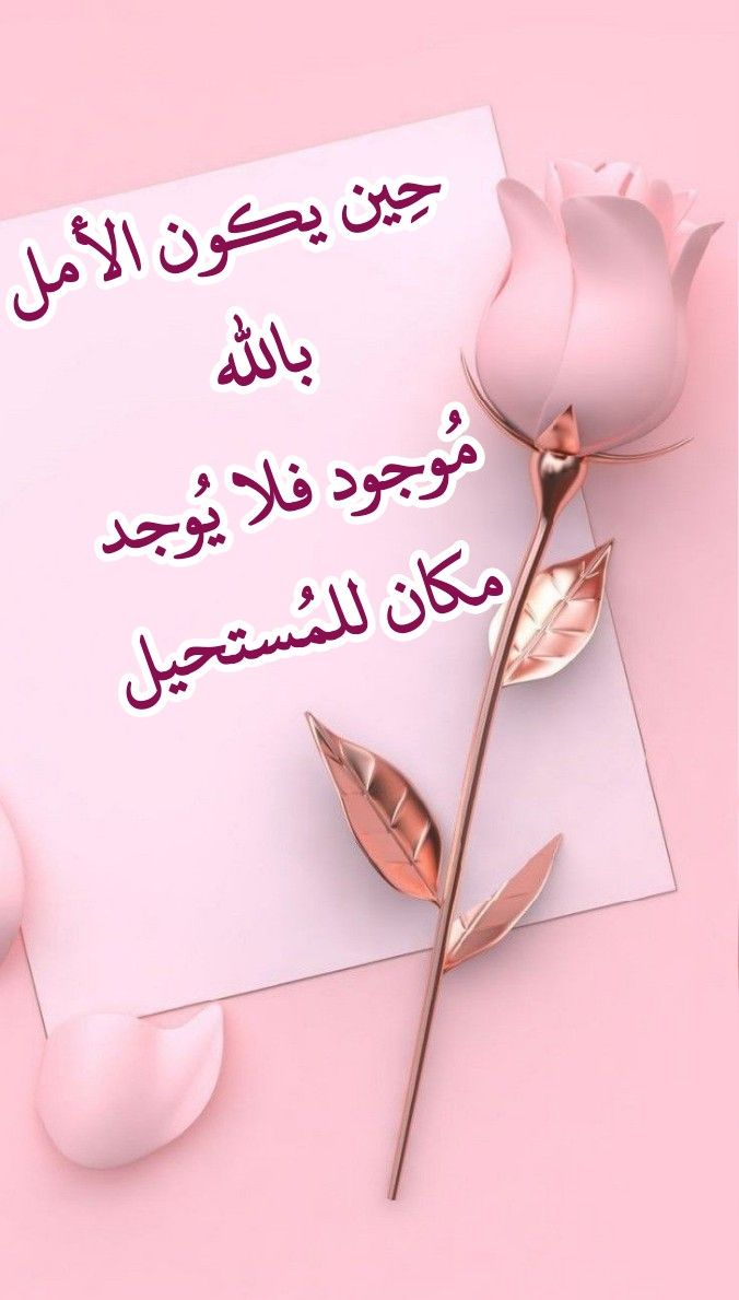 OFZHWQDdVkciWQC's tweet photo. https://t.co/cnOdViLjvc